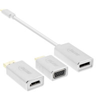 InLine® USB Display Konverter Set 6-in-1, USB-C Stecker zu DisplayPort, HDMI, VGA (DP Alt Mode), 4K/60Hz, silber, 0.2m